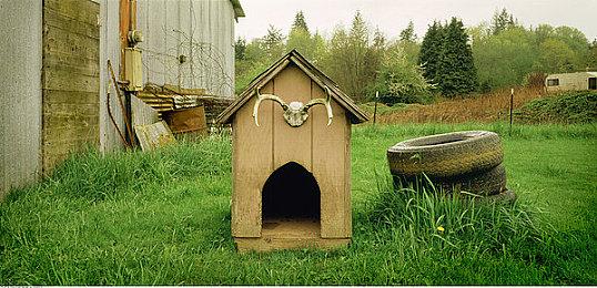 《星空》采访视频：非硬科幻、角色特征可以移除